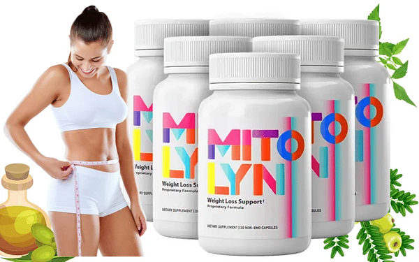Supplement